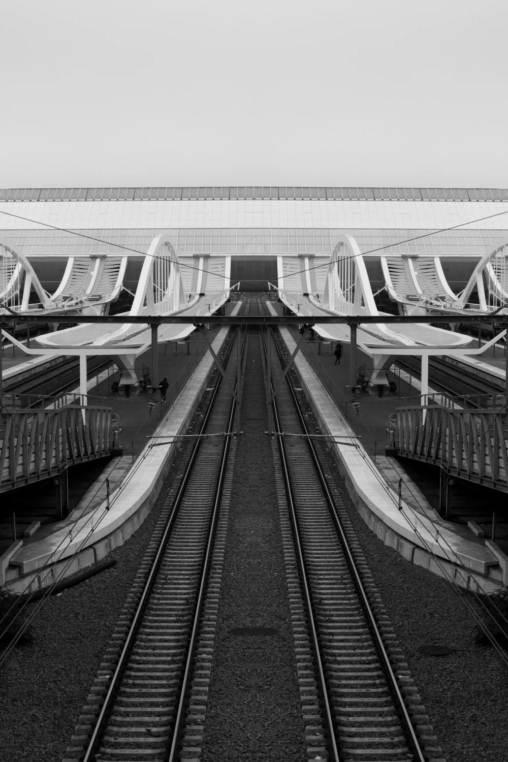 Lignes parfaites