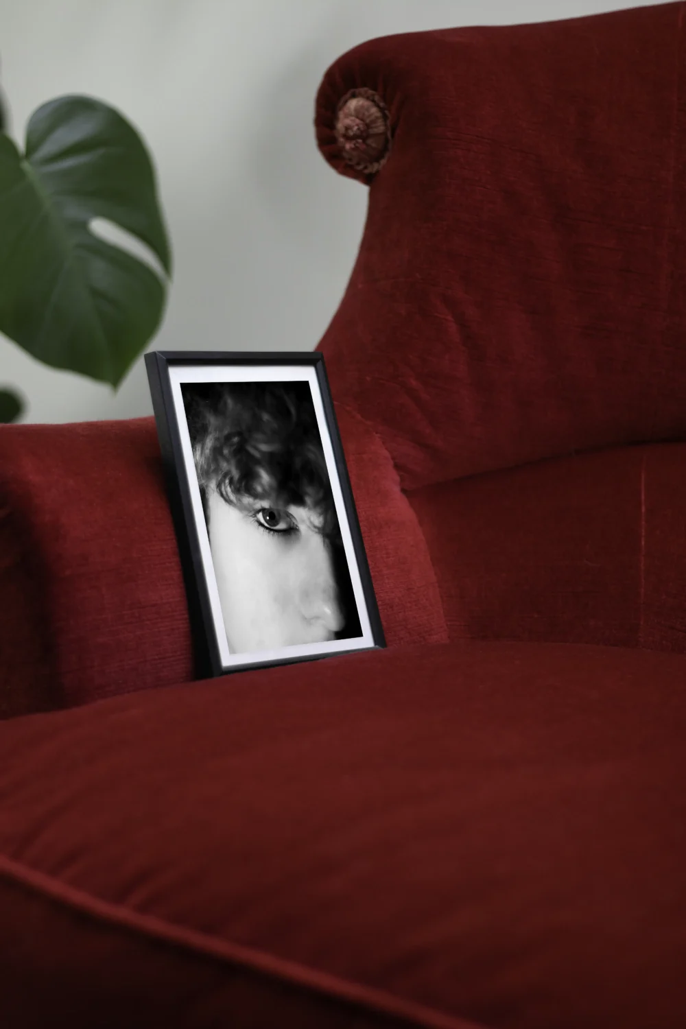 Regard perçant – Image 3