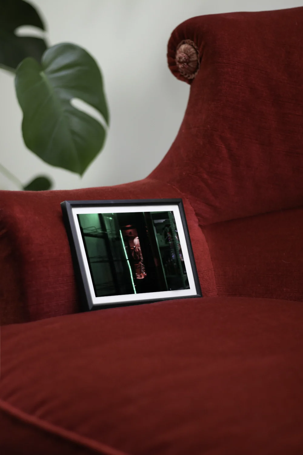 Vertiges lumineux – Image 3